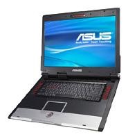 Ремонт ноутбука ASUS G2Sg в Москве